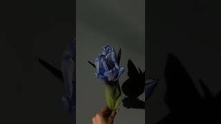 Краски жизни 