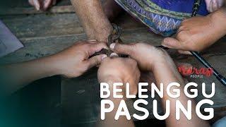 Narasi People - Indonesia Darurat Pasung