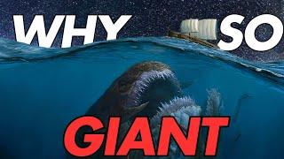 Why Deep-Sea Creatures Get Weirdly Giant