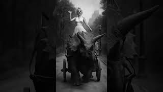 Unlikely Rides From a Parallel Archive