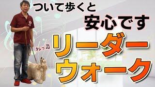 犬のしつけ ひっぱり癖や拾い食いを直す練習 リーダーウォークを教えよう！左の足元について歩く練習です。