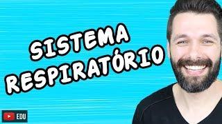 SISTEMA RESPIRATÓRIO - FISIOLOGIA | Biologia com Samuel Cunha