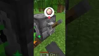 BUG MINECRAFT LOL