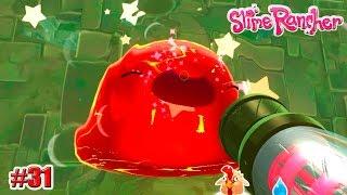 Slime Rancher: БАБАХ ГОРДО (СЧАСТЛИВАЯ ФЕРМА) 31 серия