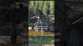 This sunken dredge and its massive piles show how gold mining was done in the early 1900s #history