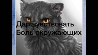 Коты с супер способностями