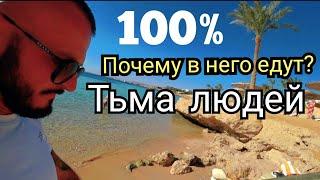 Египет  100% ЗАГРУЖЕННОСТЬ CONTINENTAL PLAZA RESORT & AQUAPARK залив Эль -Паша Шарм Эль Шейх