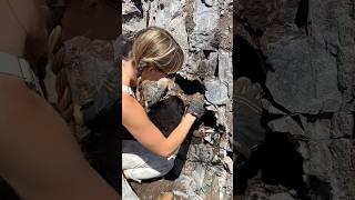 Discovering a Rare Agate Pseudomorph  with @AgatesFromMexico