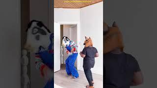 DOG chase dancing Cow in my bedroom funny video short 2025 Comedy Real Life Zombie