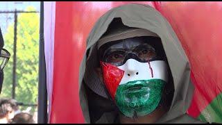 Palestine March on DNC