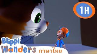 หนวด | Blippi ไทย | วิดีโอการเรียนรู้สำหรับเด็ก