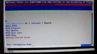 486 Surfing web in MS-DOS