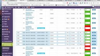 Using the Woocommerce Stock Manager