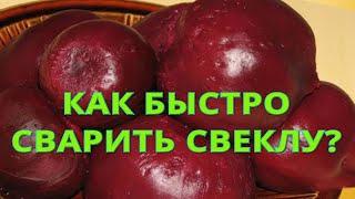 Как правильно и быстро сварить свеклу. Сколько по времени нужно варить свеклу