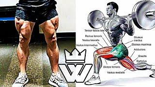 Best legs work out/ muscle hub gym/ must watch