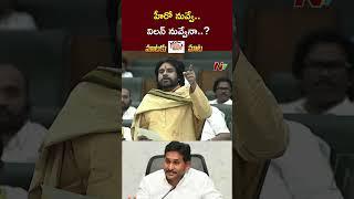 Ex CM YS Jagan Counter To Deputy CM Pawan Kalyan | Ntv