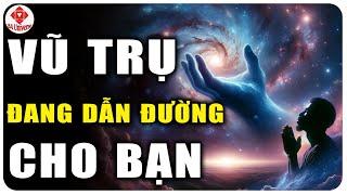 Một Khi Bạn Thực Hiện Theo 7 Quy Luật Này Sẽ Có TẤT CẢ MỌI THỨ |  BA Universe