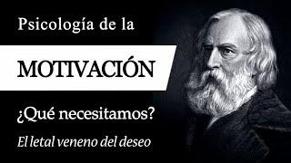 PSICOLOGÍA de la MOTIVACIÓN - ¿Qué Influye en nuestro COMPORTAMIENTO y qué NECESITAMOS Realmente?