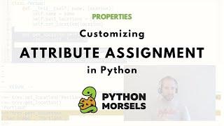 Customizing attribute assignment in Python