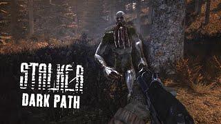 Огромный лес с ордой мутантов. STALKER Dark Path #5