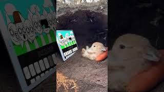 Bunny Watching Sprunki incredibox #sprunki