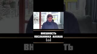 Внешность Пророка Мухаммада (алейхи салляту ва салям).