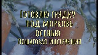 Как подготовить грядку под морковь осенью Пошаговая инструкция