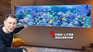 AQUARIUM LIVING ROOM -3500 liters saltwater aquarium by Lars *english subtitles*