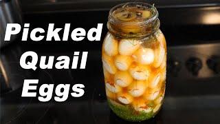 How To Make Delicious Pickled Quail Eggs. Amazing Healthy Homemade Snack.