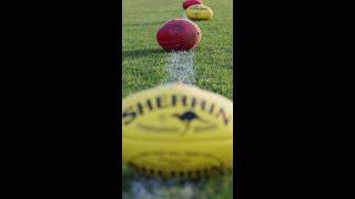 We’ve got footy fever, and so does the Chief 