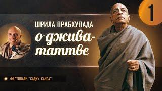 "Шрила Прабхупада о джива-таттве", день 1 — фестиваль "Садху-санга", 22 сентября 2024г.