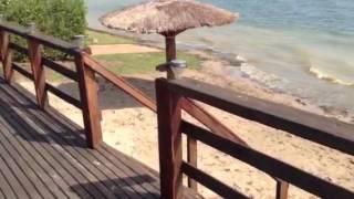 PRAIA DE NUDISMO BRISOLLA!