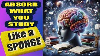 How To ABSORB WHAT YOU STUDY LIKE A SPONGE. 7 Smartest Strategies