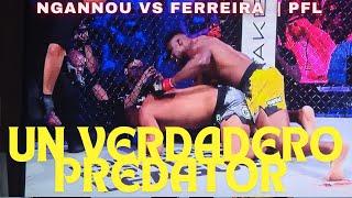 FRANCIS NGANNOU VS RENAN FERREIRA: demolición total #live #livestreaming