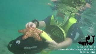 Mermaid Adventures - Group Snorkeling