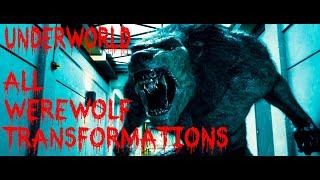 All Werewolf Transformations - best scenes - Underworld HD