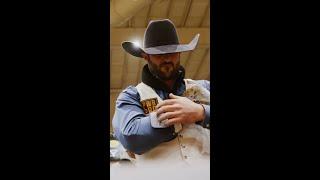 Roll call for the 's of rodeo