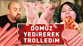 DOMUZ YEDİREREK TROLLEDİM !