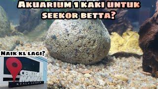 IDEA AQUARIUM SAIZ BESAR UNTUK BETTA. ALA ALA SUNGAI.