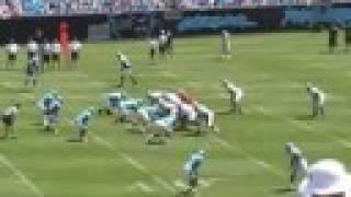 2008 Carolina Panthers Fan Fest Scrimmage