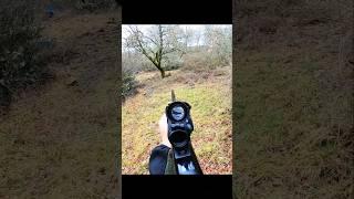 великолепные кадры дикого кабана с очень близкого расстояния #sanglier #chasse #cinghiale #охота