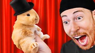 Reacting to the Funniest Bunny Videos