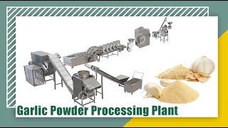 Complete Garlic Powder Processing Plant From A To Z