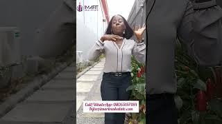 Why You Should Invest In Real Estate 1. Subscribe to watch full video. Music: Mornings By Jeff Kaale