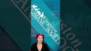 Kingston Humane Society closed July 24 & 25 due to COVID outbreak