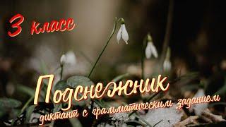 Диктант по русскому языку c грамматическим заданием! 3 класс. Подснежник