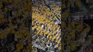 Epic Mizzou Student Section #mrbrightside #mizzou #fku #youtubeshorts #shorts #shortsvideo