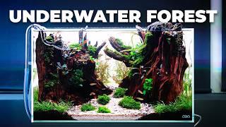 Creating an UNDERWATER FOREST in 60 liters