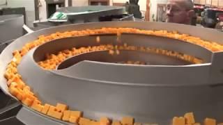 VIBRATORY FEEDER BOWL FOR PLASTIC LEGO TOYS SATISFYING ROBOT- Feeding Concepts, Inc.