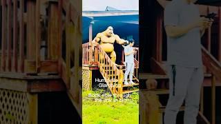 Airbnb glamping Huntsville #glamping #outdoors #fishing#camping #boating #canoeing #pickleball